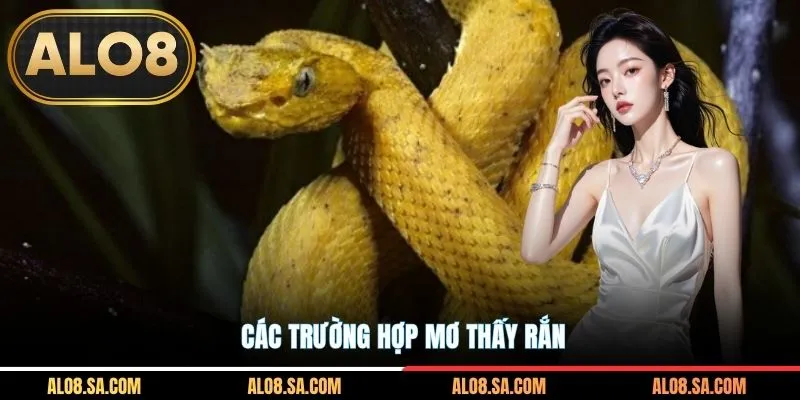 Các trường hợp mơ thấy rắn