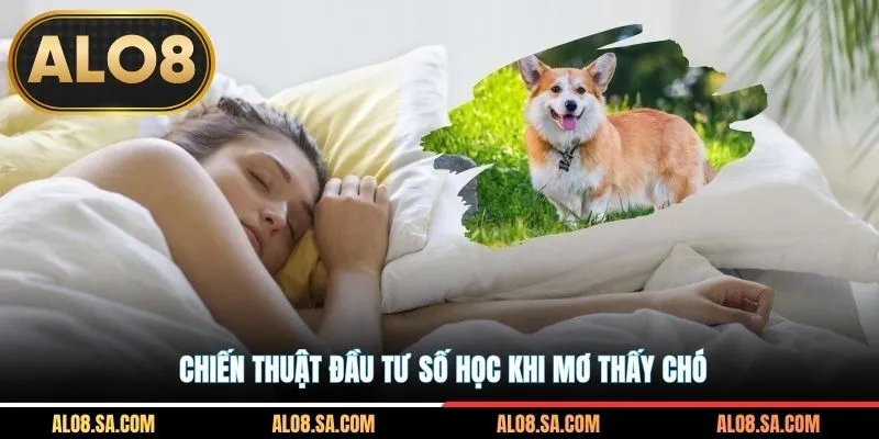 Chiến thuật đầu tư số học khi mơ thấy chó