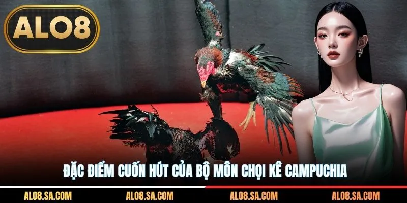 Đặc điểm cuốn hút của bộ môn chọi kê Campuchia