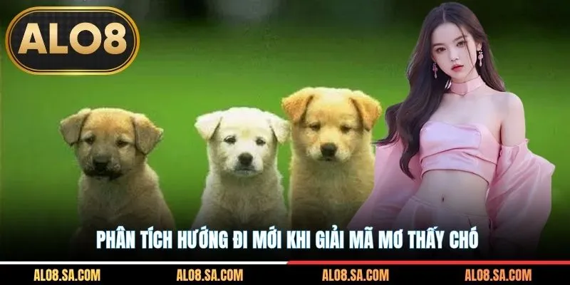 Phân tích hướng đi mới khi giải mã mơ thấy chó